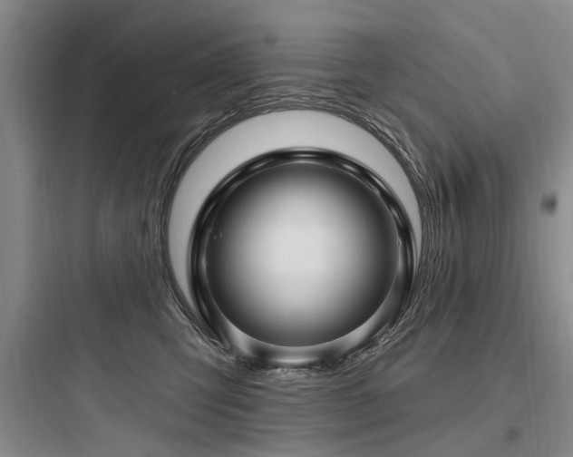 X0000097970423200803241239