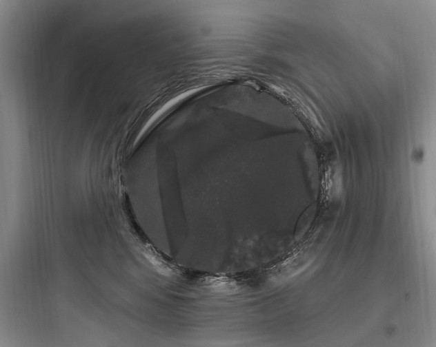 X0000097970424200803241239