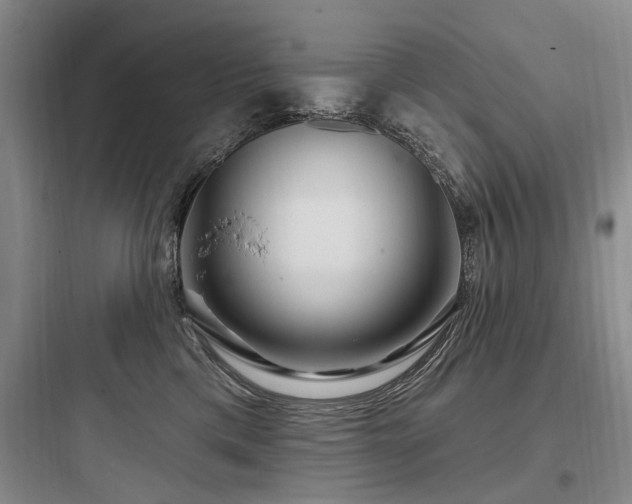 X0000097970425200803241239