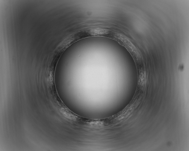 X0000097970426200803241239