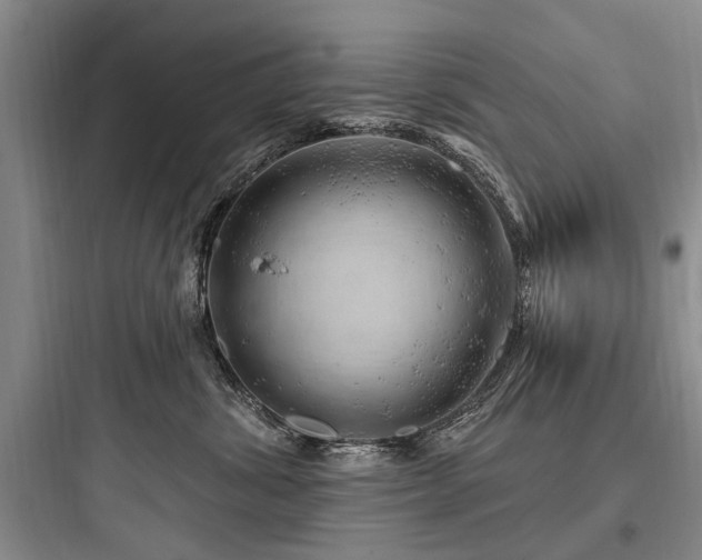 X0000097970428200803241239