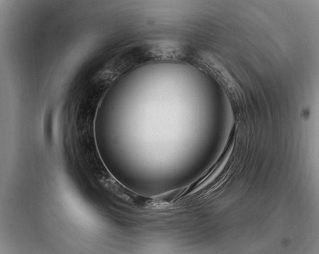 X0000097970429200803241239