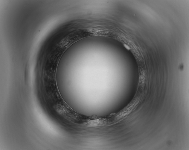 X0000097970430200803241239