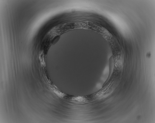 X0000097970431200803241239