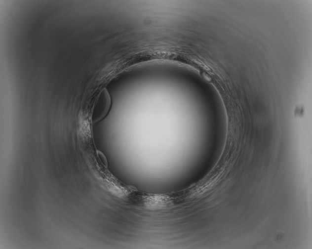 X0000097970432200803241239