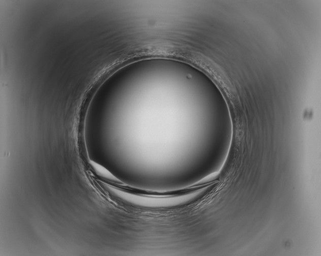X0000097970434200803241239