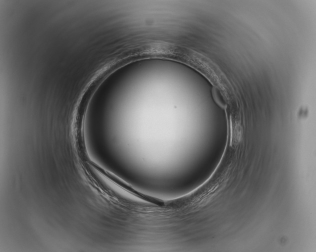 X0000097970435200803241239