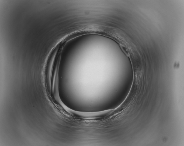 X0000097970436200803241239