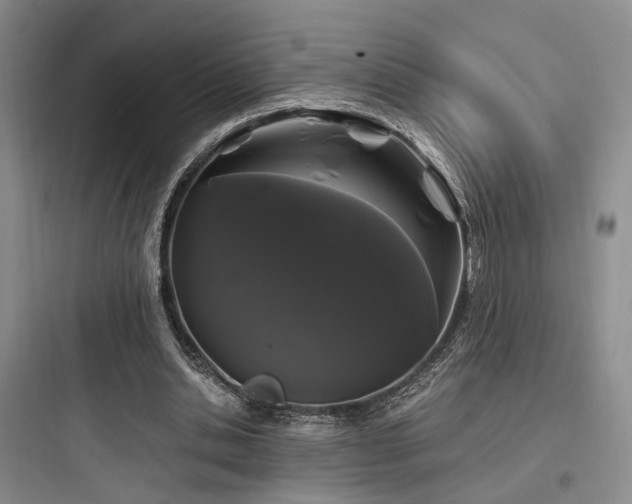 X0000097970438200803241239