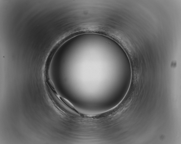 X0000097970439200803241239