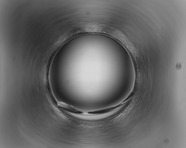 X0000097970441200803241239