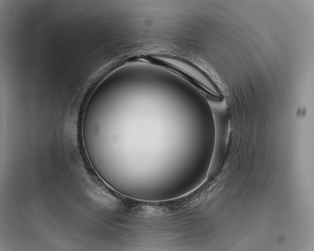 X0000097970442200803241239