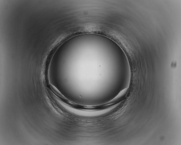X0000097970443200803241239
