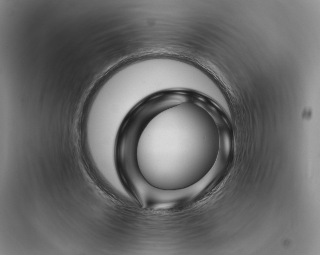 X0000097970444200803241239