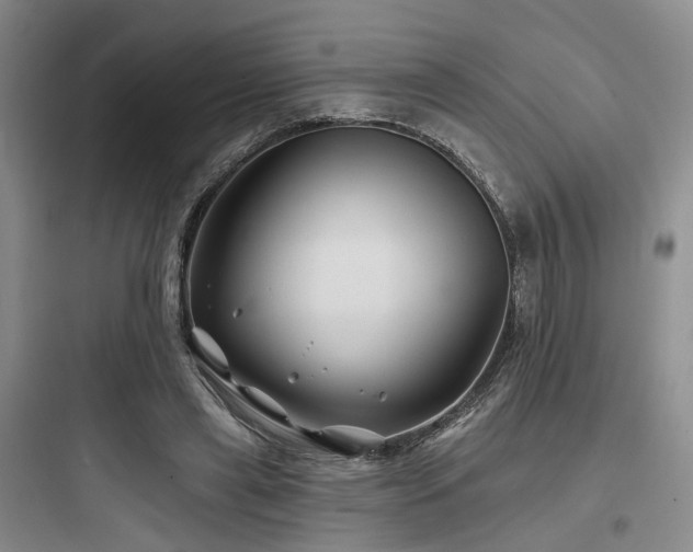 X0000097970445200803241239