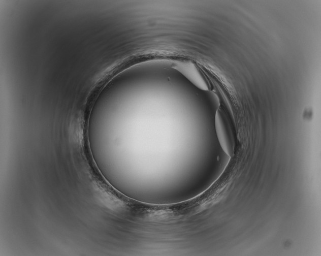 X0000097970446200803241239