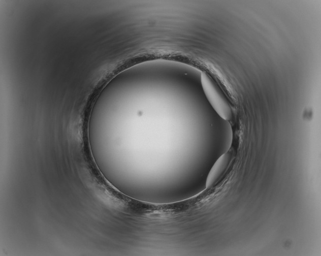 X0000097970447200803241239