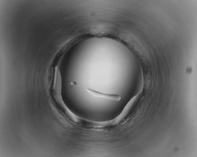 X0000097970448200803241239