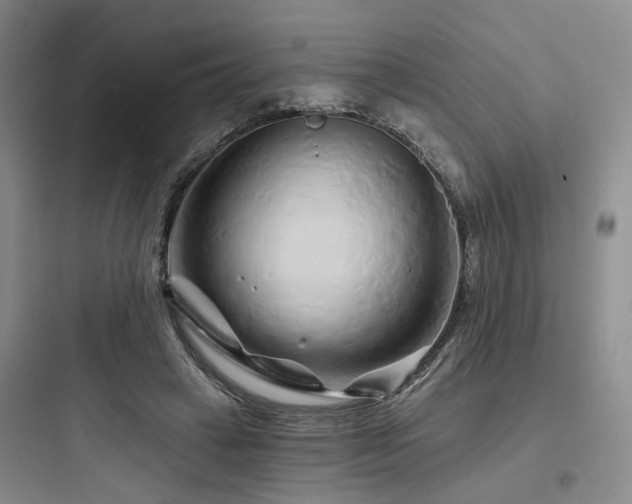 X0000097970449200803241239