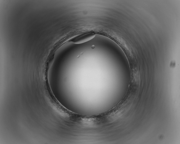 X0000097970450200803241239
