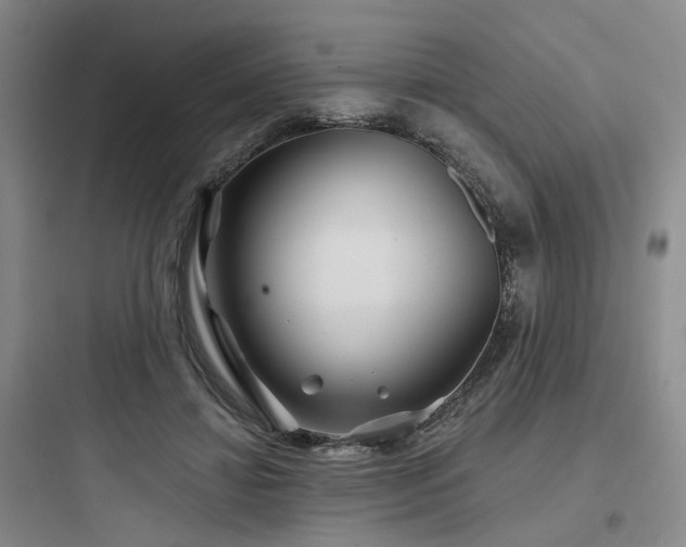 X0000097970452200803241239