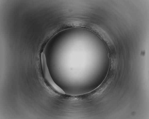 X0000097970453200803241239