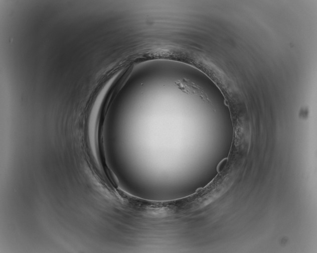 X0000097970454200803241239