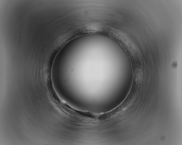 X0000097970455200803241239