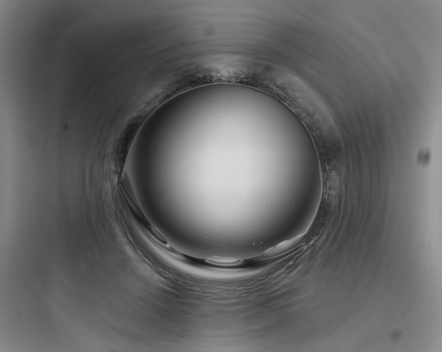 X0000097970456200803241239