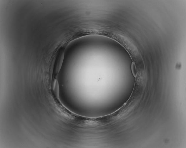 X0000097970457200803241239