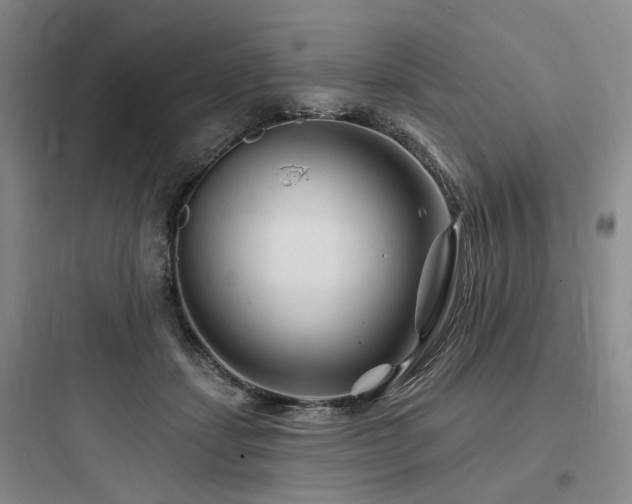 X0000097970459200803241239