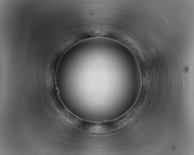 X0000097970460200803241239