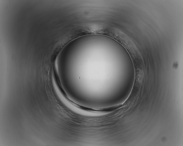 X0000097970461200803241239