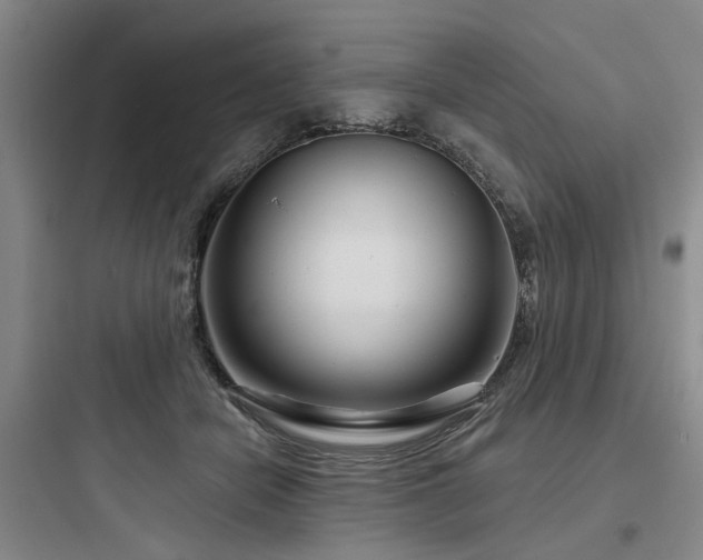 X0000097970462200803241239