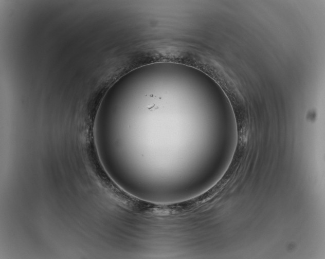 X0000097970464200803241239