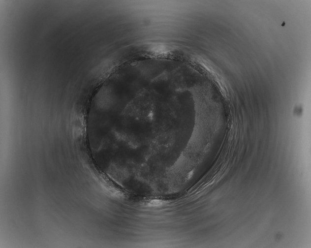 X0000097970467200803241239