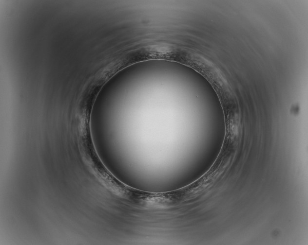 X0000097970468200803241239