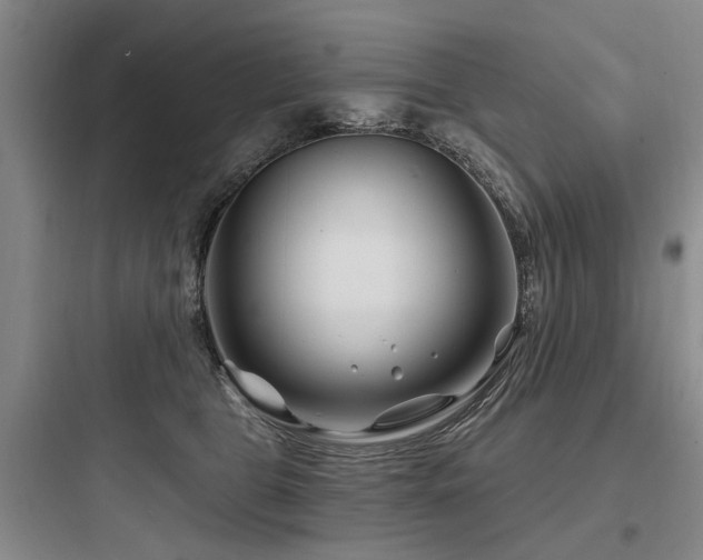 X0000097970469200803241239
