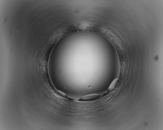 X0000097970470200803241239