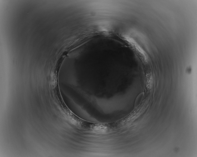 X0000097970471200803241239