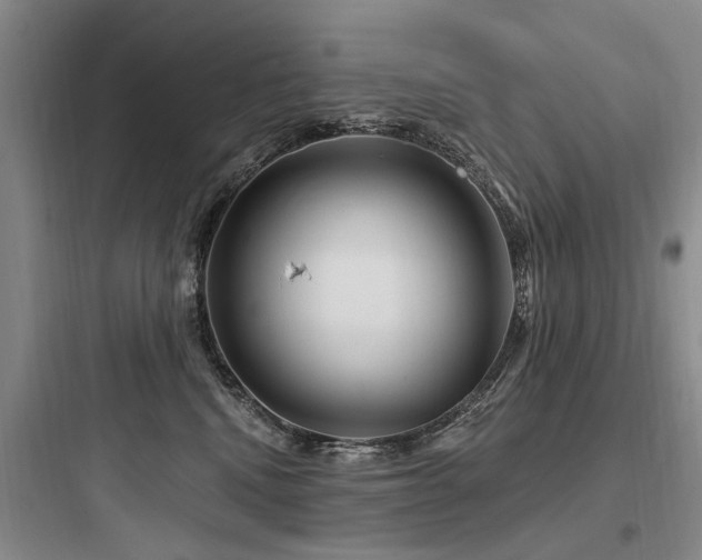X0000097970472200803241239