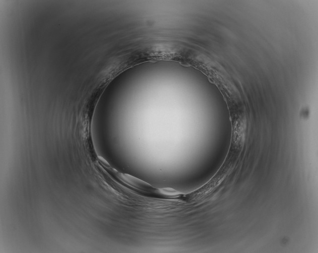 X0000097970474200803241239