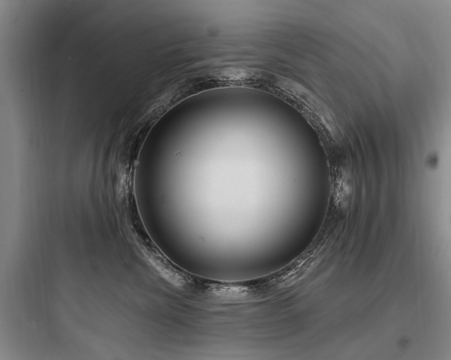 X0000097970476200803241239