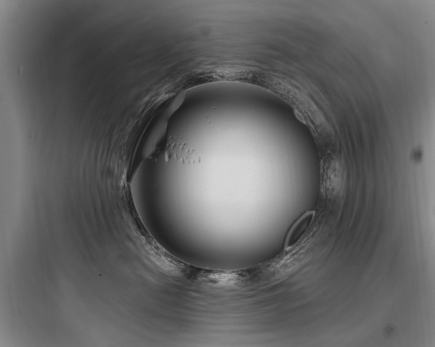 X0000097970478200803241239
