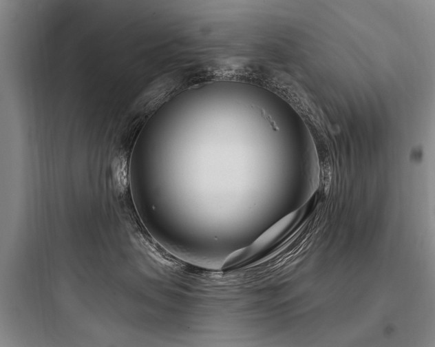 X0000097970479200803241239