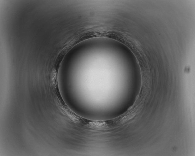 X0000097970480200803241239