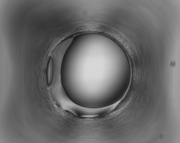 X0000097970481200803241239