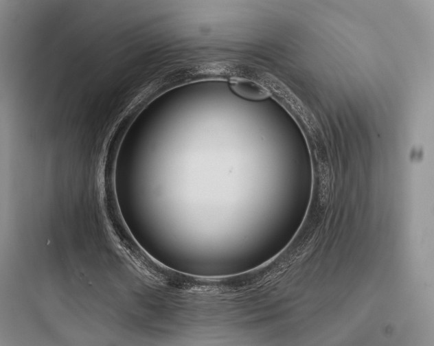 X0000097970482200803241239