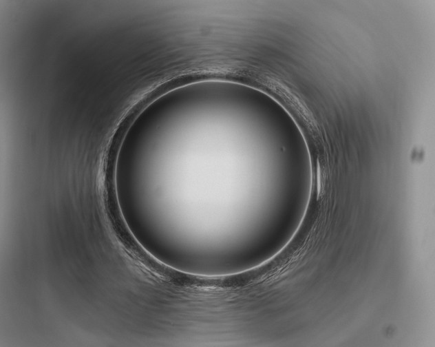 X0000097970483200803241239