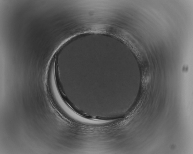 X0000097970484200803241239